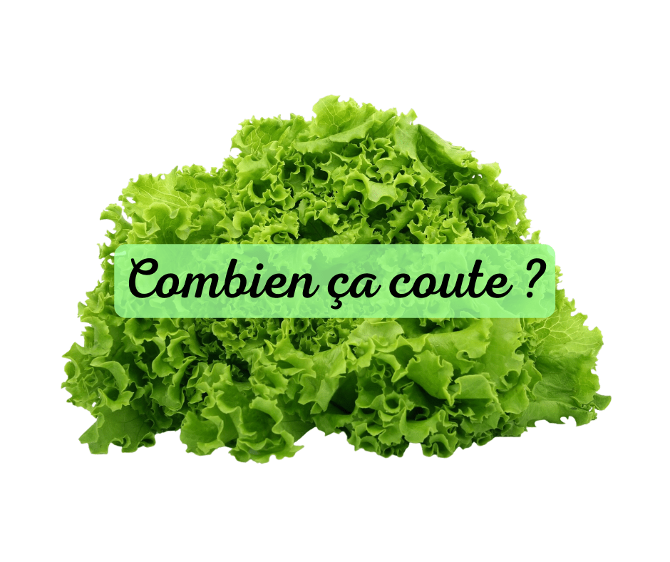 salade combien ça coute